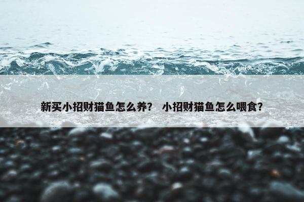 新买小招财猫鱼怎么养？ 小招财猫鱼怎么喂食？
