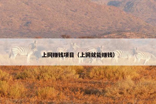 上网赚钱项目（上网就能赚钱）