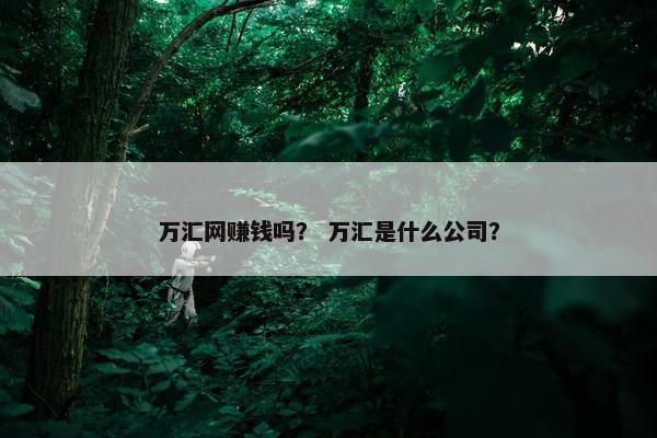 万汇网赚钱吗？ 万汇是什么公司？