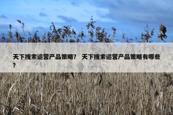 天下搜索运营产品策略？ 天下搜索运营产品策略有哪些？