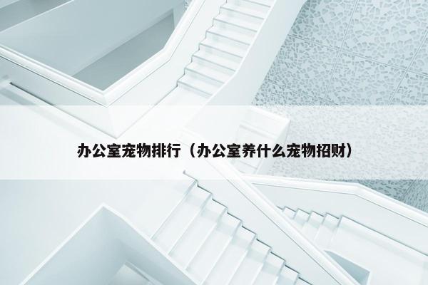 办公室宠物排行（办公室养什么宠物招财）