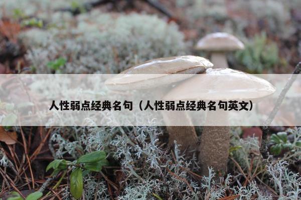 人性弱点经典名句（人性弱点经典名句英文）