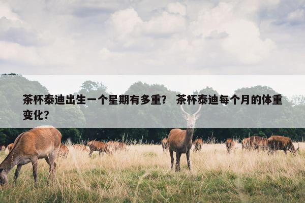 茶杯泰迪出生一个星期有多重？ 茶杯泰迪每个月的体重变化？