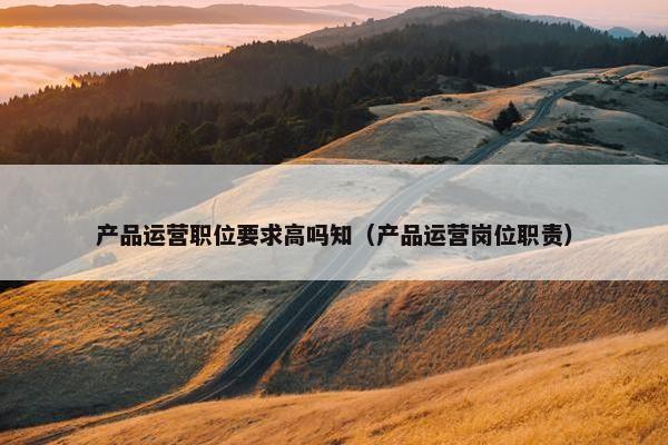 产品运营职位要求高吗知（产品运营岗位职责）