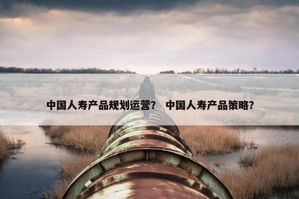 中国人寿产品规划运营？ 中国人寿产品策略？