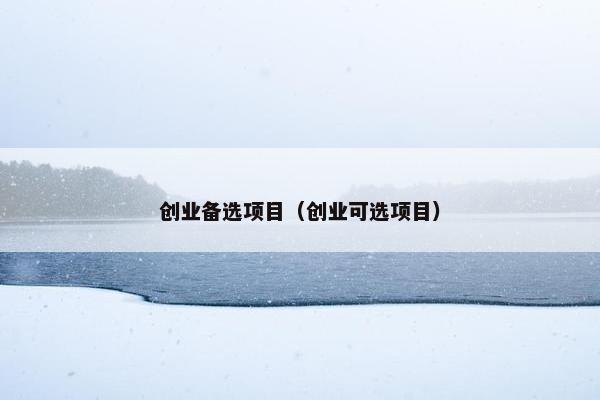 创业备选项目（创业可选项目）