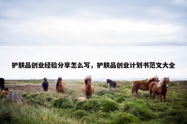 护肤品创业经验分享怎么写，护肤品创业计划书范文大全