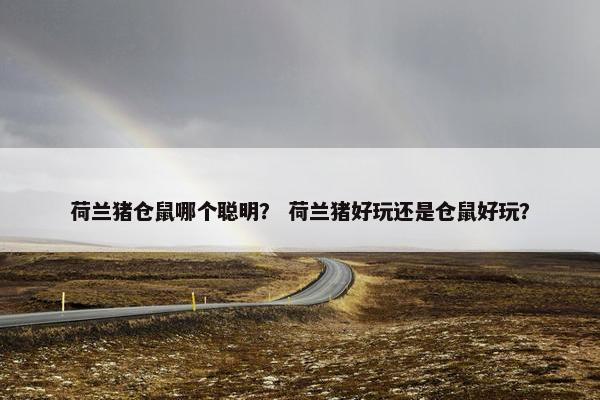 荷兰猪仓鼠哪个聪明？ 荷兰猪好玩还是仓鼠好玩？