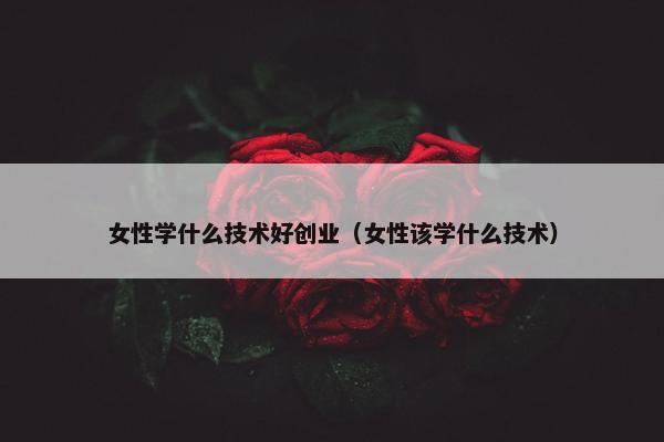 女性学什么技术好创业（女性该学什么技术）