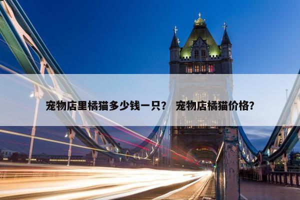 宠物店里橘猫多少钱一只? 宠物店橘猫价格?