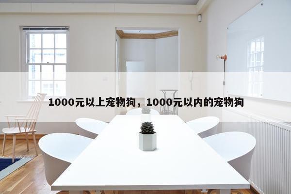 1000元以上宠物狗,1000元以内的宠物狗
