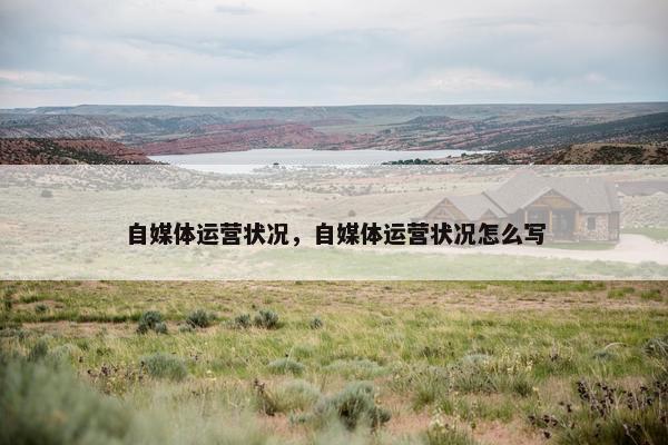 自媒体运营状况,自媒体运营状况怎么写