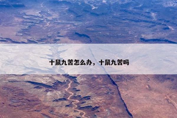 十鼠九苦怎么办，十鼠九苦吗