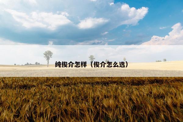 纯俊介怎样(俊介怎么选)