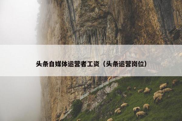 头条自媒体运营者工资（头条运营岗位）