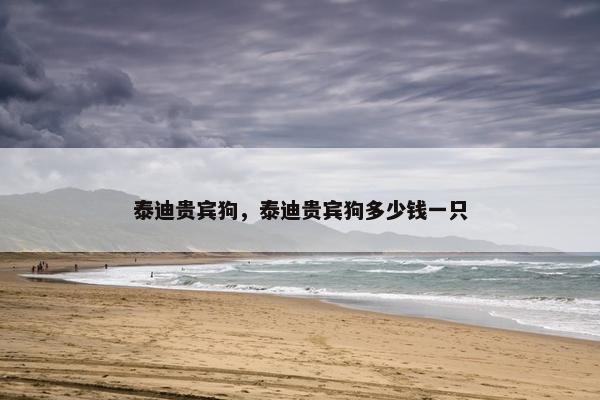 泰迪贵宾狗，泰迪贵宾狗多少钱一只