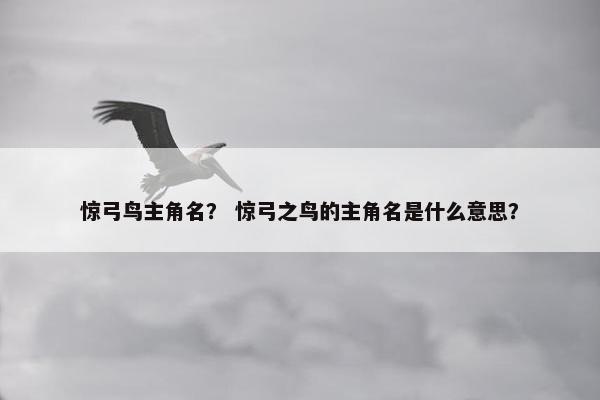惊弓鸟主角名？ 惊弓之鸟的主角名是什么意思？