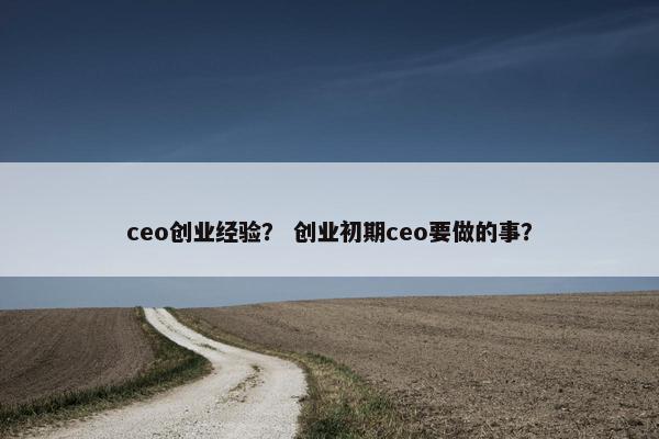 ceo创业经验？ 创业初期ceo要做的事？
