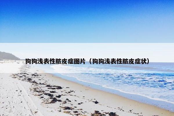 狗狗浅表性脓皮症图片(狗狗浅表性脓皮症状)