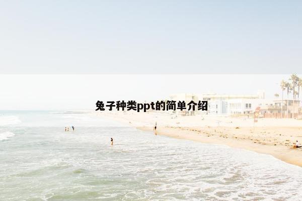 兔子种类ppt的简单介绍