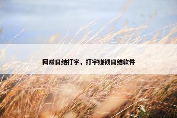 网赚日结打字，打字赚钱日结软件