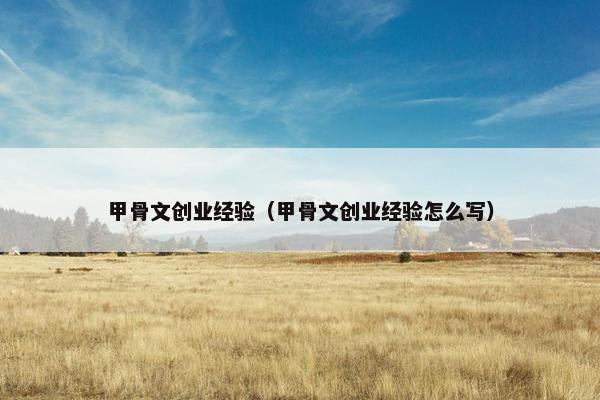 甲骨文创业经验（甲骨文创业经验怎么写）