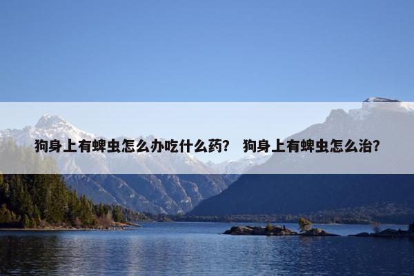 狗身上有蜱虫怎么办吃什么药? 狗身上有蜱虫怎么治?