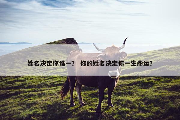 姓名决定你谁一？ 你的姓名决定你一生命运？