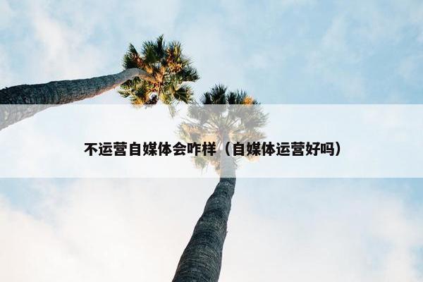 不运营自媒体会咋样（自媒体运营好吗）