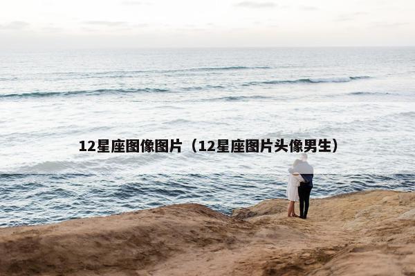 12星座图像图片（12星座图片头像男生）