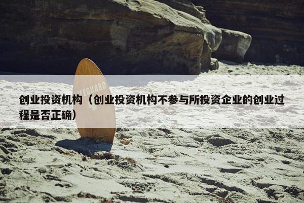 创业投资机构（创业投资机构不参与所投资企业的创业过程是否正确）