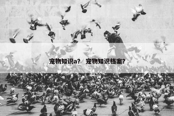 宠物知识a？ 宠物知识档案？