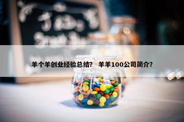 羊个羊创业经验总结？ 羊羊100公司简介？