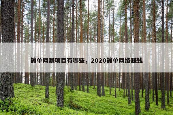 简单网赚项目有哪些，2020简单网络赚钱