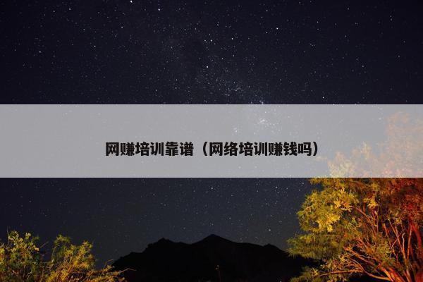 网赚培训靠谱（网络培训赚钱吗）