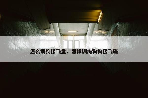 怎么训狗接飞盘，怎样训练狗狗接飞碟