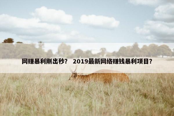 网赚暴利刚出秒？ 2019最新网络赚钱暴利项目？