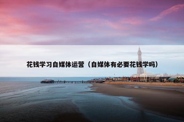 花钱学习自媒体运营（自媒体有必要花钱学吗）