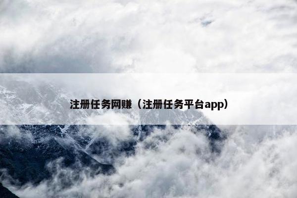 注册任务网赚（注册任务平台app）