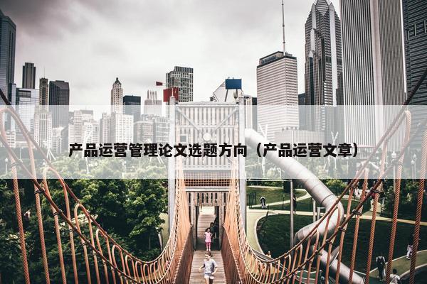 产品运营管理论文选题方向(产品运营文章)