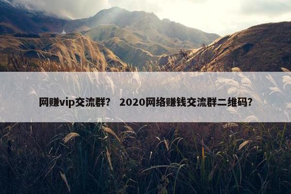 网赚vip交流群？ 2020网络赚钱交流群二维码？