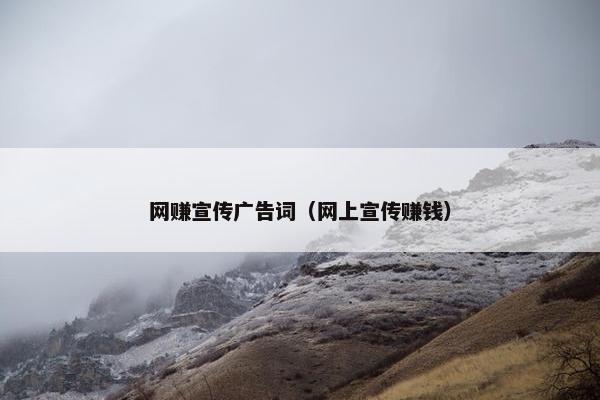 网赚宣传广告词(网上宣传赚钱)