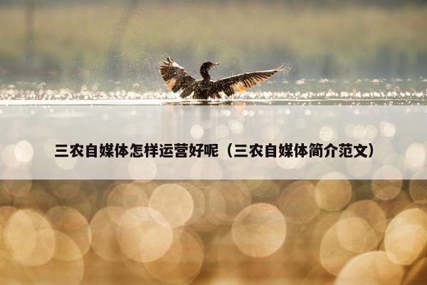 三农自媒体怎样运营好呢（三农自媒体简介范文）