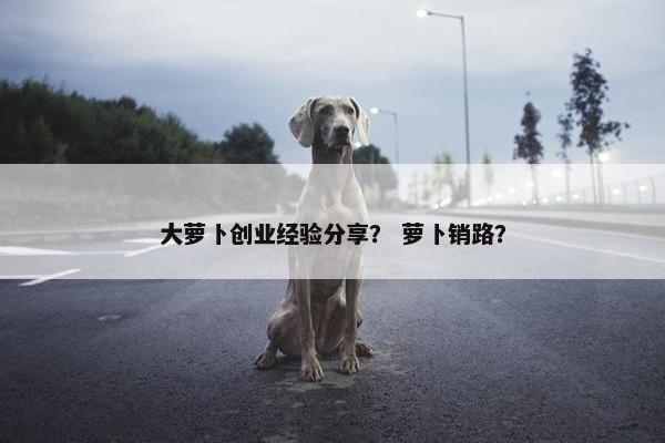 大萝卜创业经验分享？ 萝卜销路？