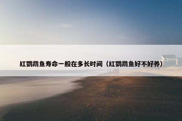 红鹦鹉鱼寿命一般在多长时间（红鹦鹉鱼好不好养）