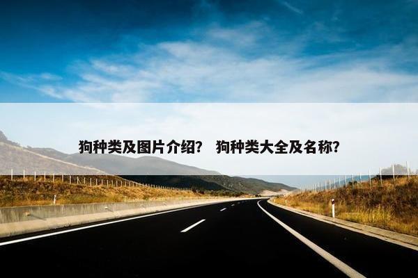 狗种类及图片介绍？ 狗种类大全及名称？