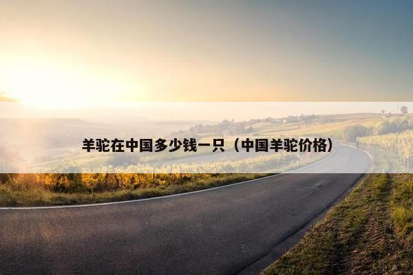 羊驼在中国多少钱一只(中国羊驼价格)