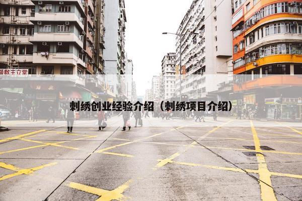 刺绣创业经验介绍（刺绣项目介绍）