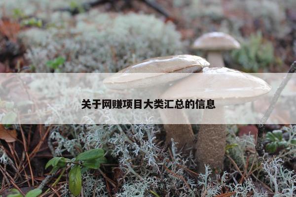 关于网赚项目大类汇总的信息