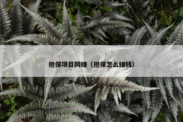 担保项目网赚（担保怎么赚钱）